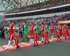 大发娱乐官网-广州富力主场击败重庆力帆，喜获三分的简单介绍